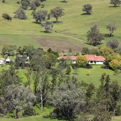 telargra cattle beef