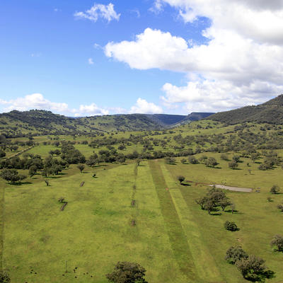 telargra farm